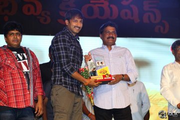 Loukyam Movie Audio Success Function